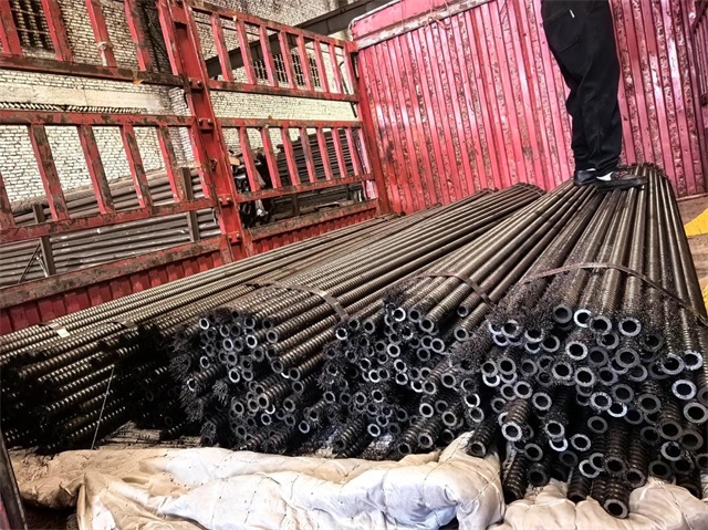 1766381641699499.jpg 15.jpg